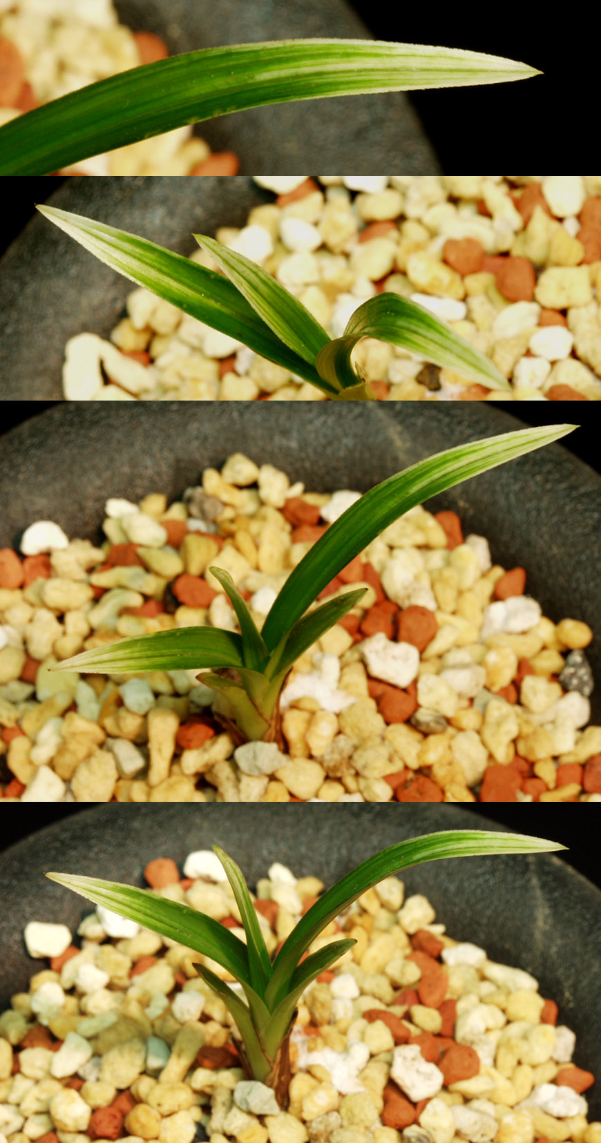 ������ ū������ �� �� �ֽ��ϴ�.