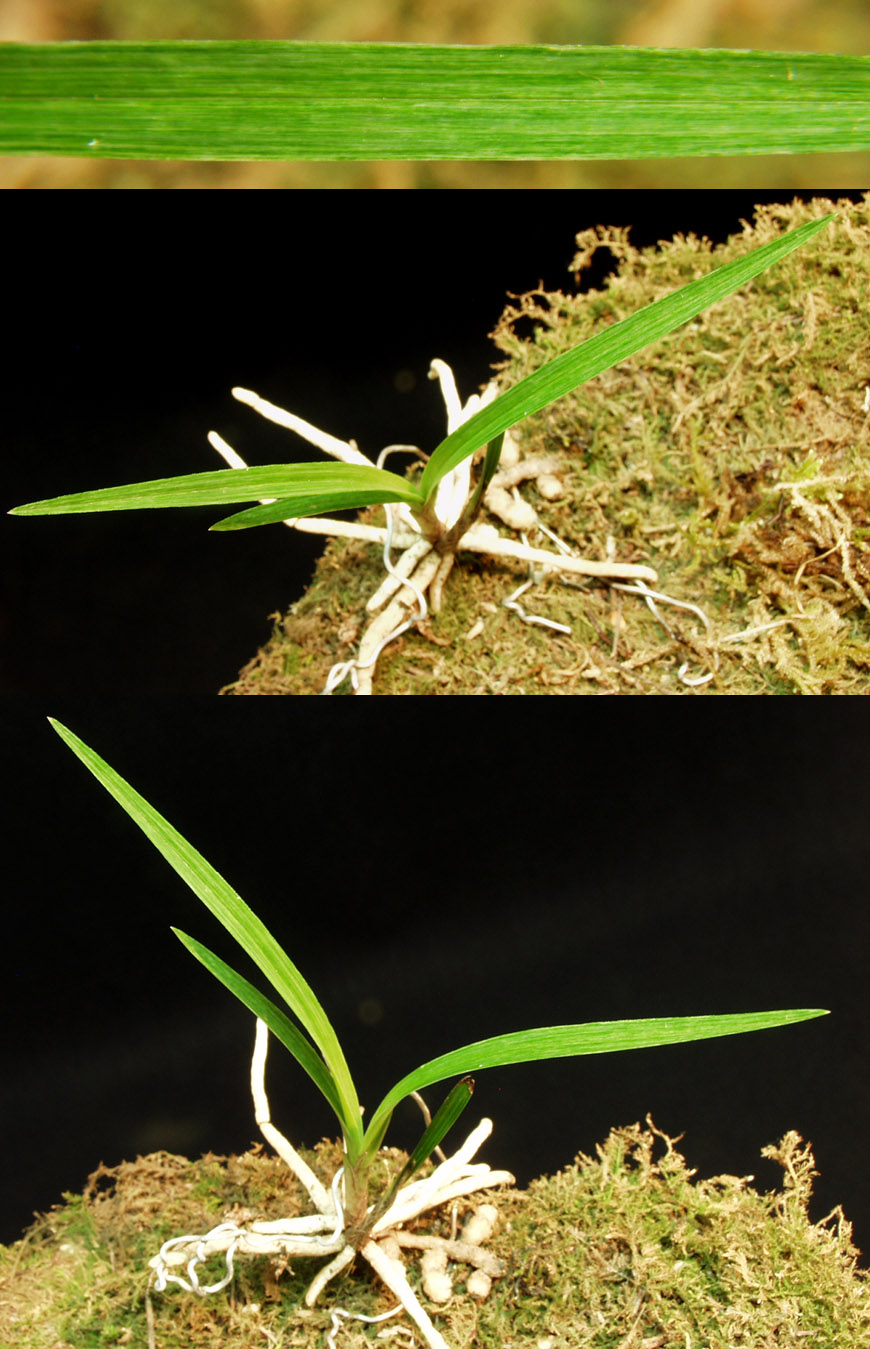 ������ ū������ �� �� �ֽ��ϴ�.