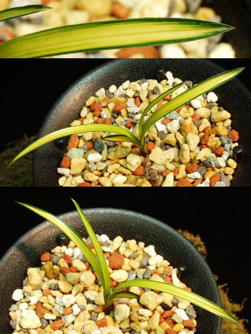 ������ ū������ �� �� �ֽ��ϴ�.