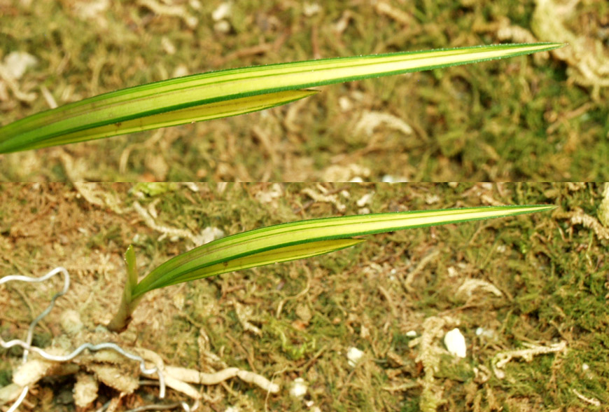 ������ ū������ �� �� �ֽ��ϴ�.