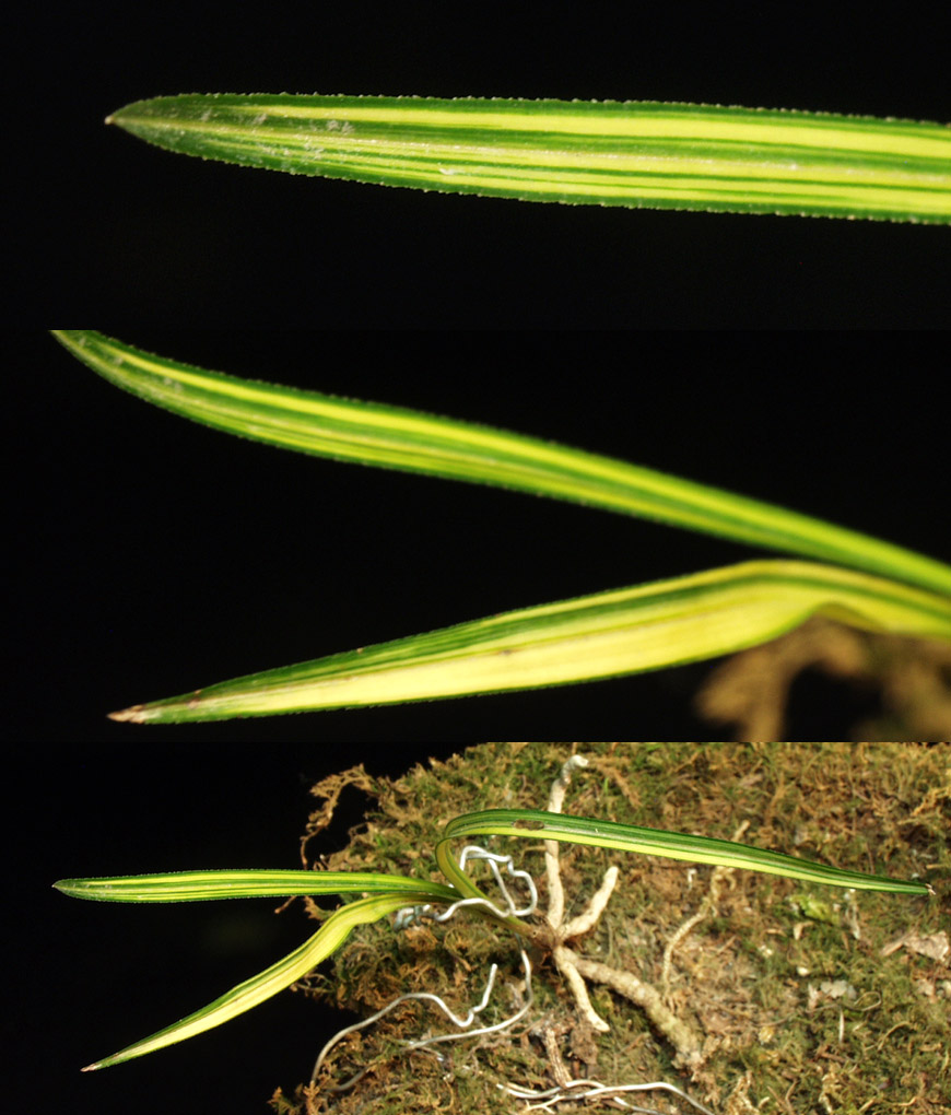 ������ ū������ �� �� �ֽ��ϴ�.