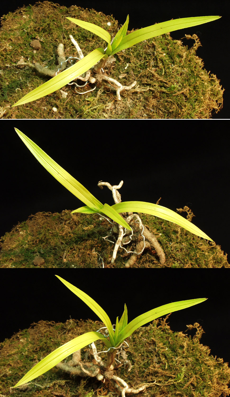 ������ ū������ �� �� �ֽ��ϴ�.