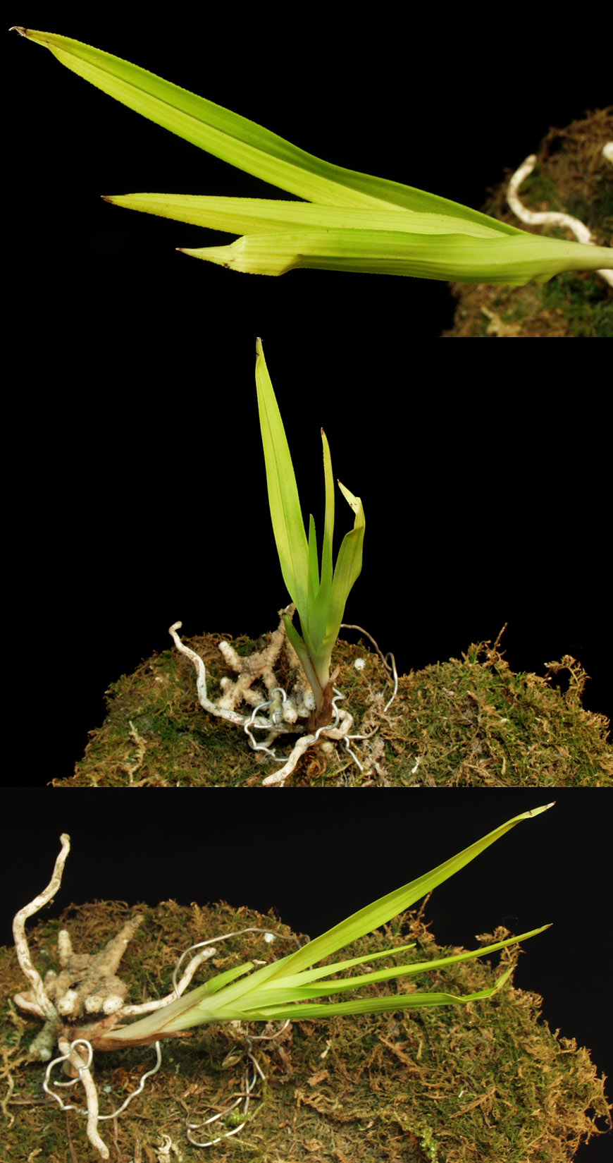 ������ ū������ �� �� �ֽ��ϴ�.