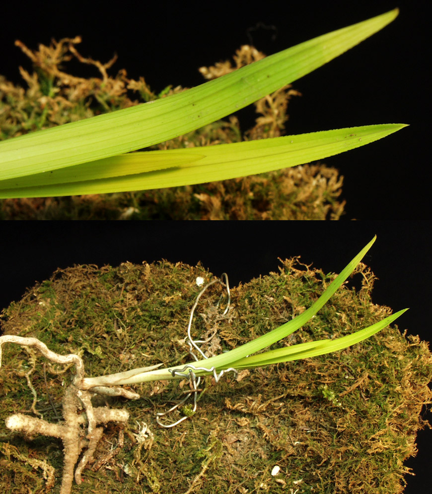 ������ ū������ �� �� �ֽ��ϴ�.