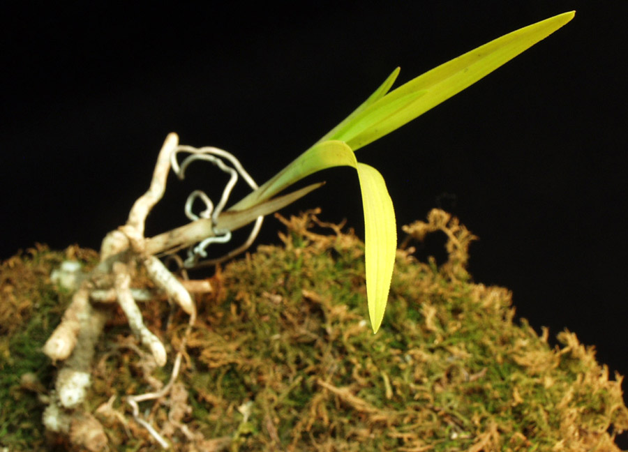 ������ ū������ �� �� �ֽ��ϴ�.