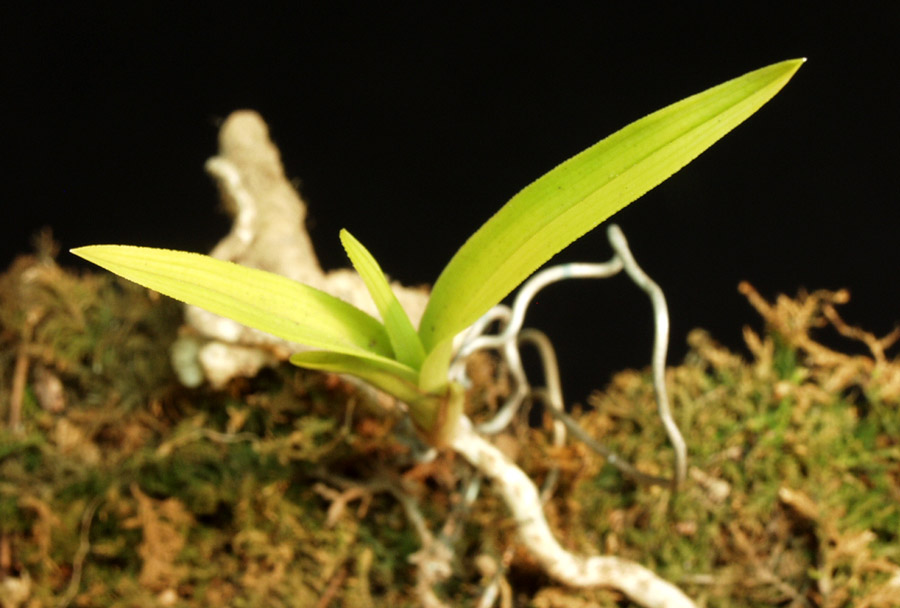 ������ ū������ �� �� �ֽ��ϴ�.