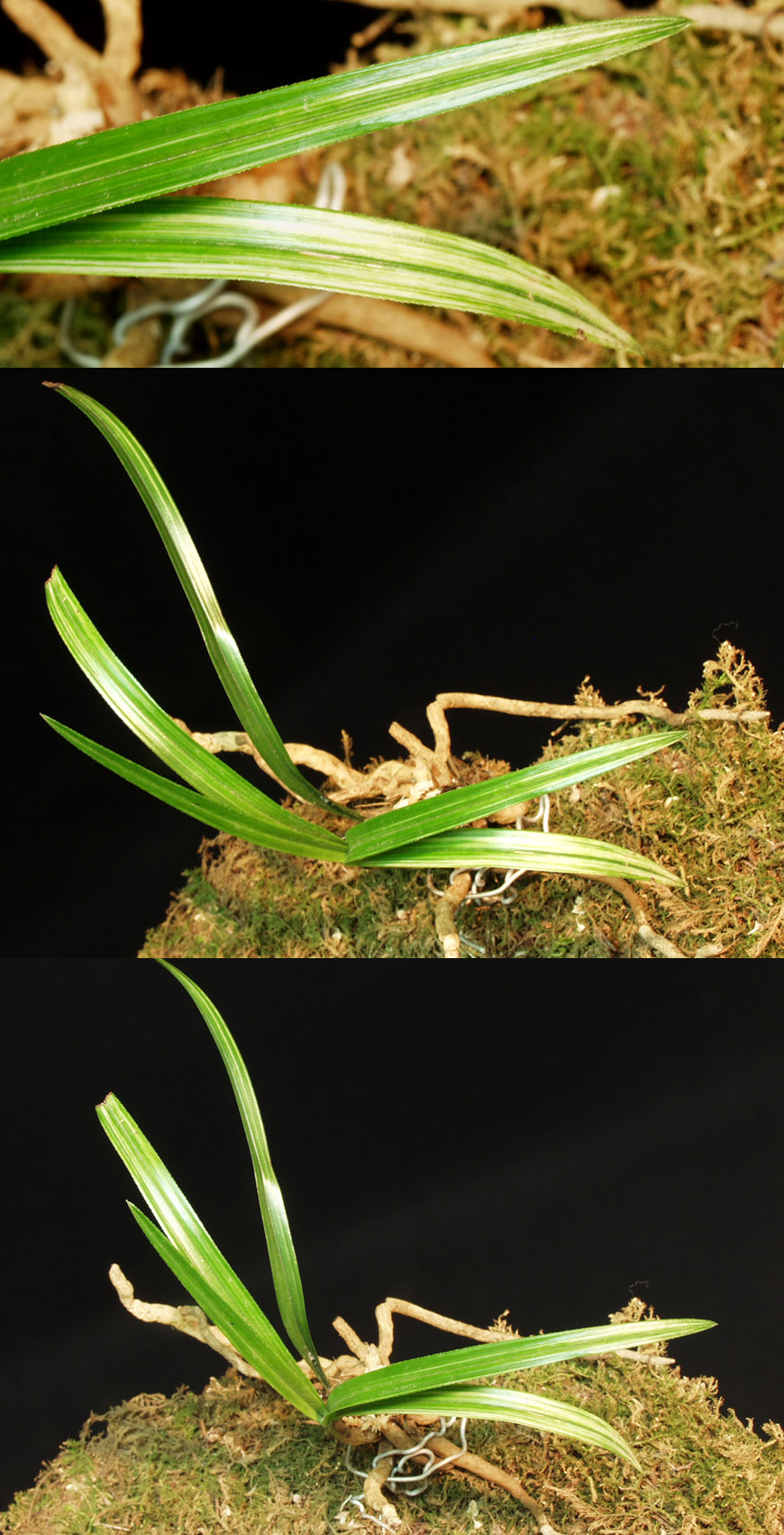 ������ ū������ �� �� �ֽ��ϴ�.