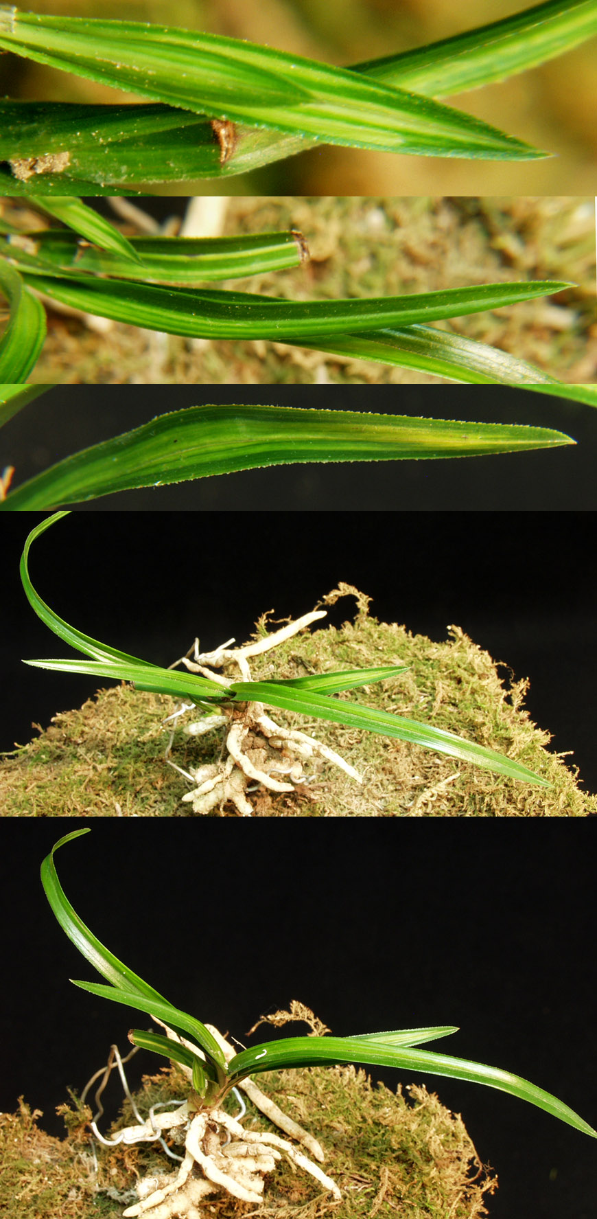 ������ ū������ �� �� �ֽ��ϴ�.