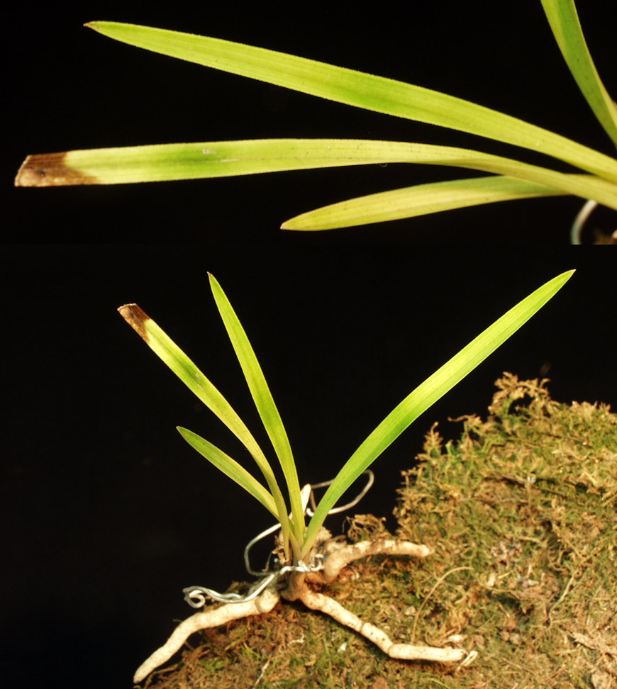 ������ ū������ �� �� �ֽ��ϴ�.