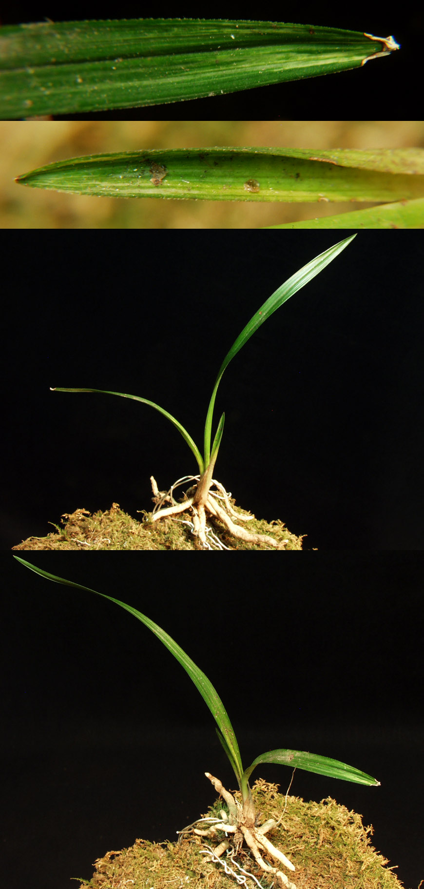 ������ ū������ �� �� �ֽ��ϴ�.