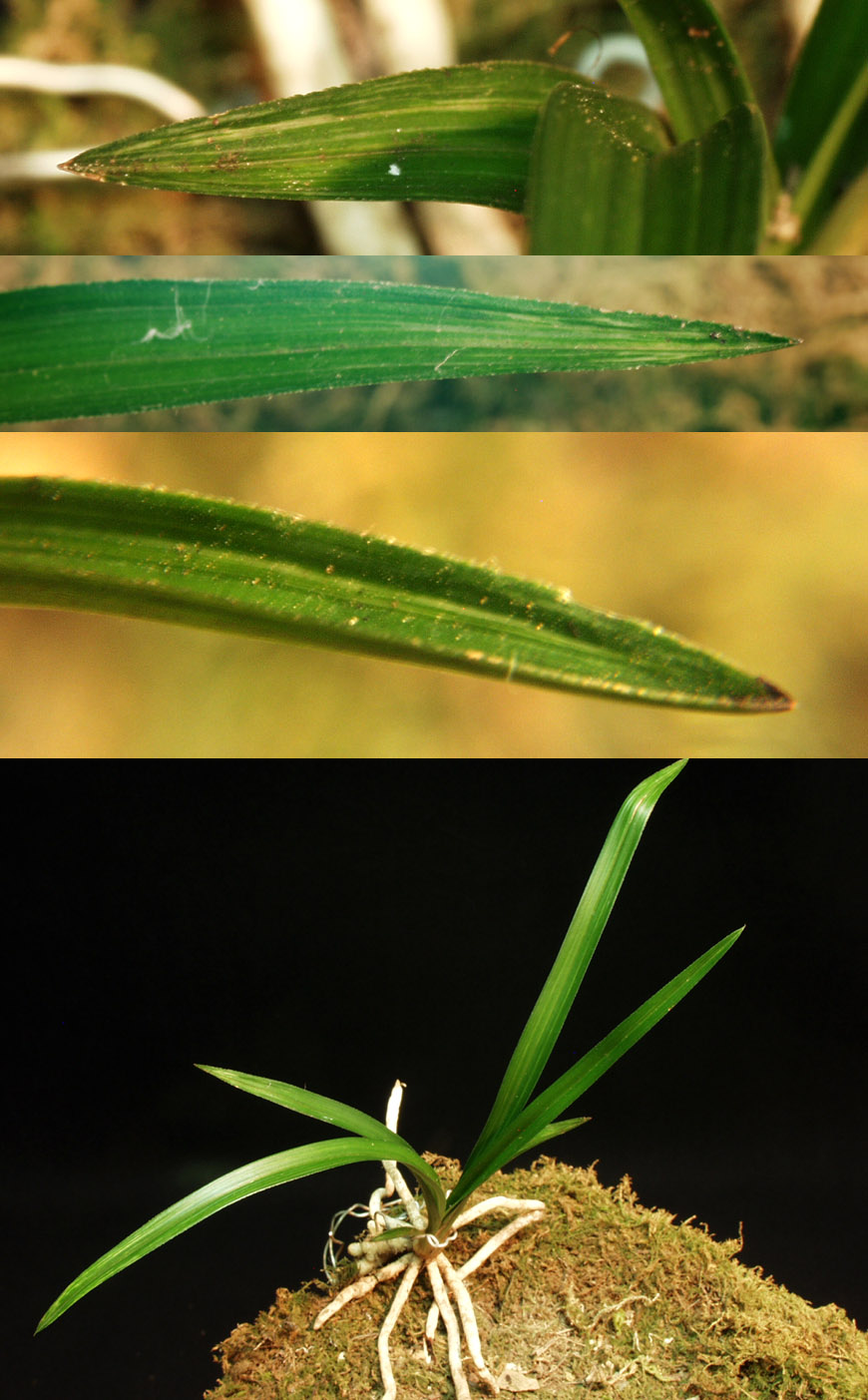 ������ ū������ �� �� �ֽ��ϴ�.