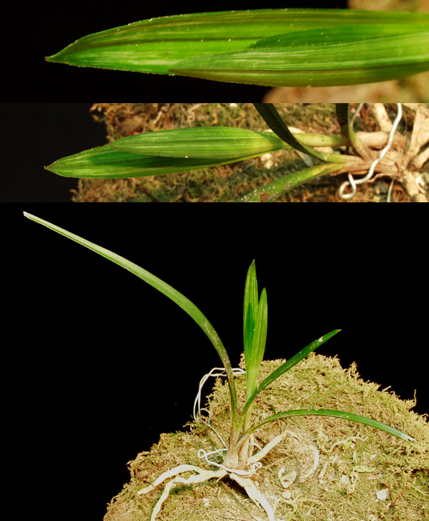 ������ ū������ �� �� �ֽ��ϴ�.