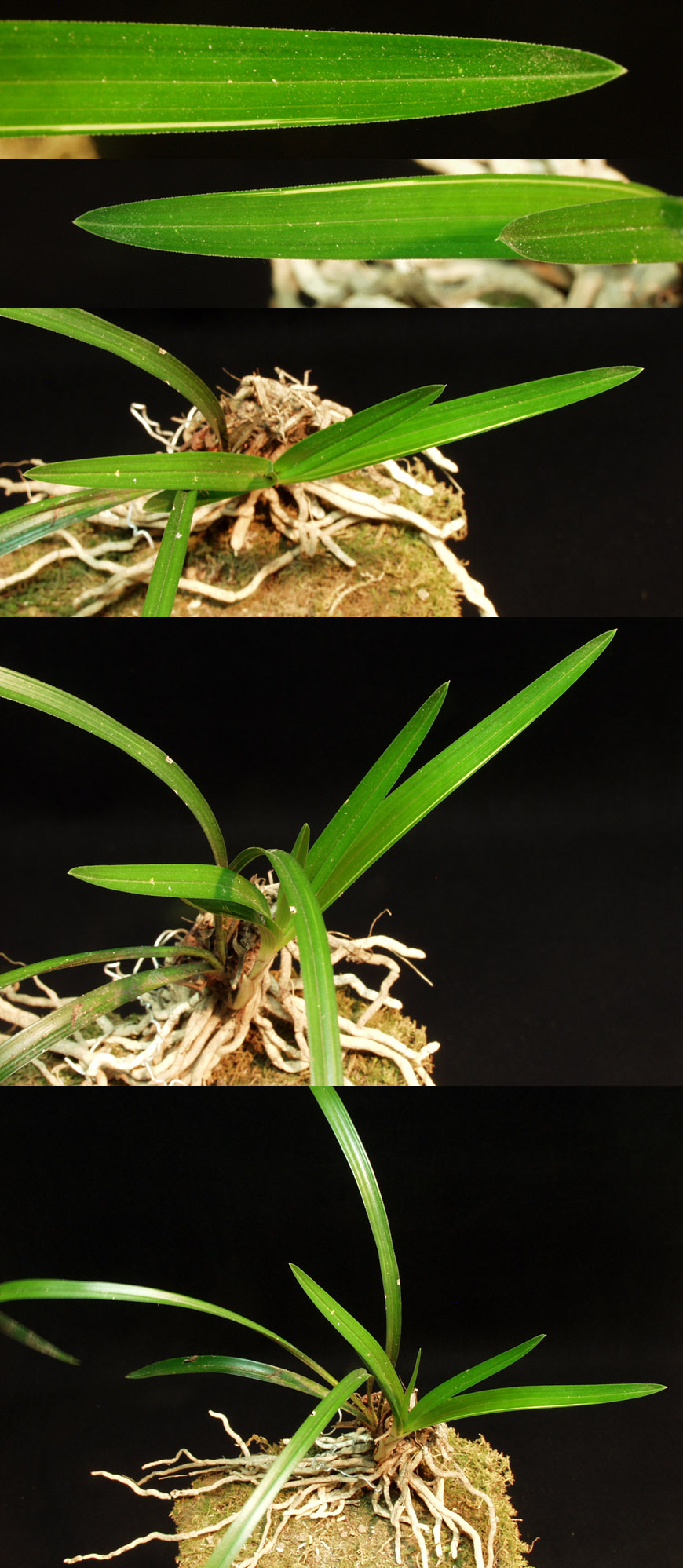 ������ ū������ �� �� �ֽ��ϴ�.