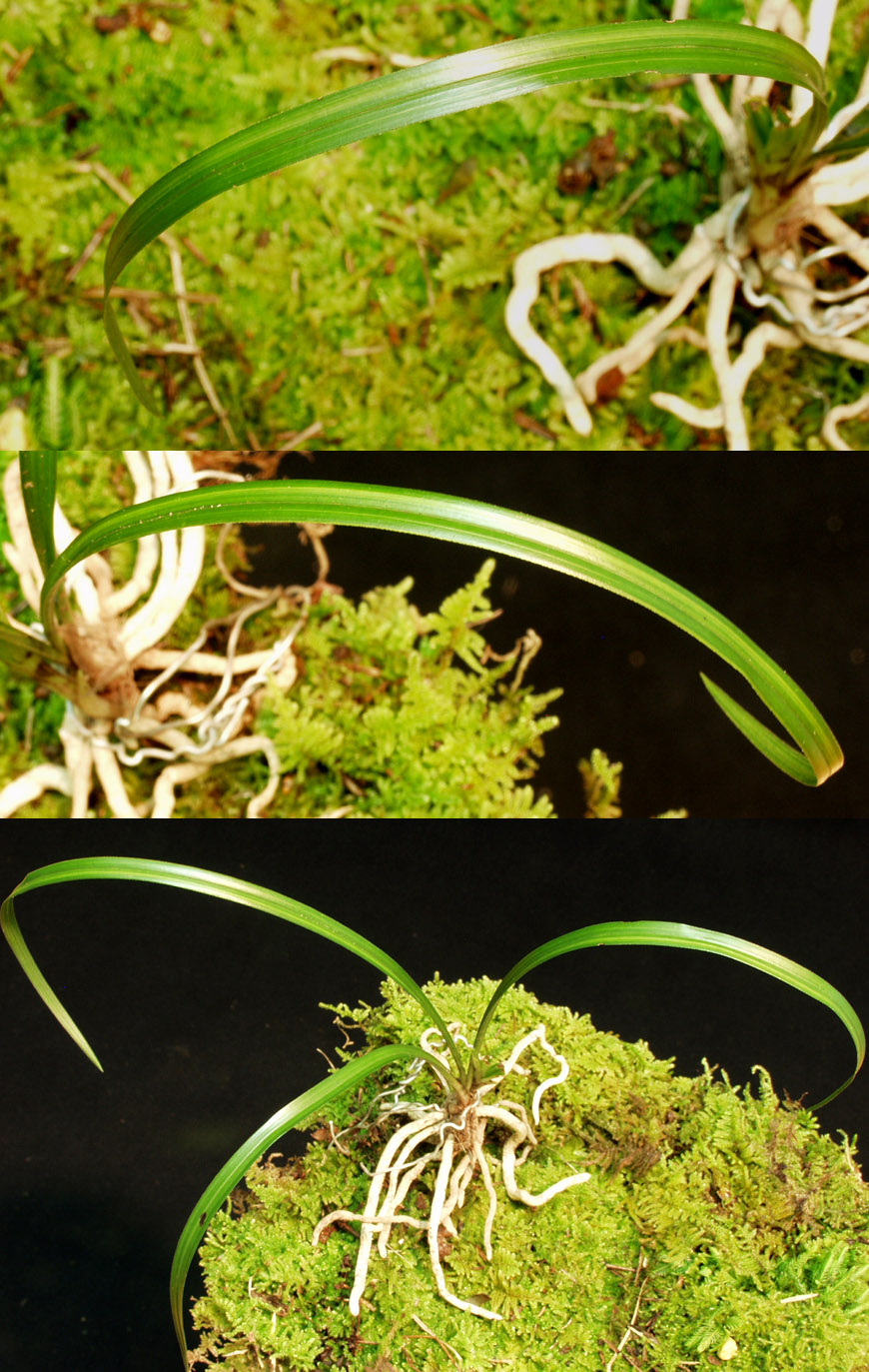 ������ ū������ �� �� �ֽ��ϴ�.