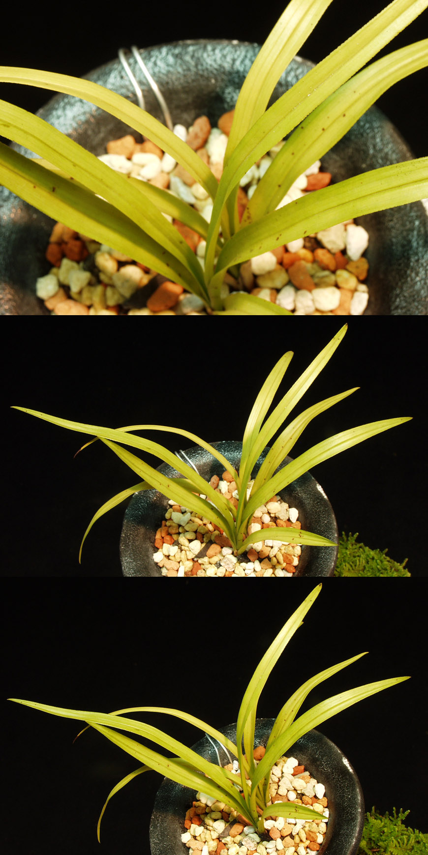 ������ ū������ �� �� �ֽ��ϴ�.