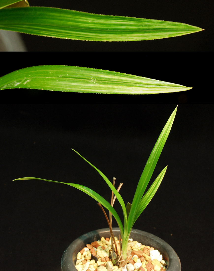 ������ ū������ �� �� �ֽ��ϴ�.