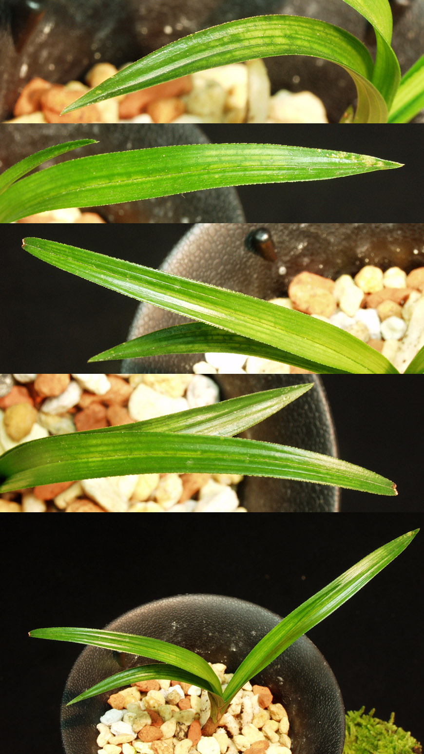 ������ ū������ �� �� �ֽ��ϴ�.