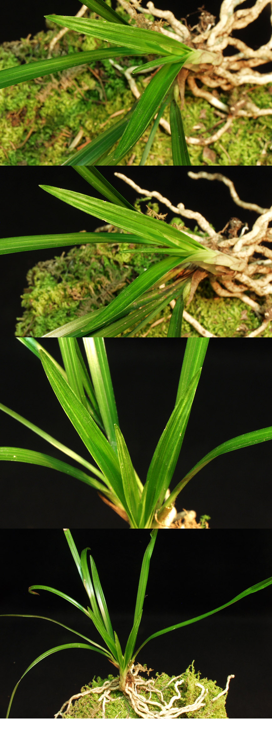 ������ ū������ �� �� �ֽ��ϴ�.