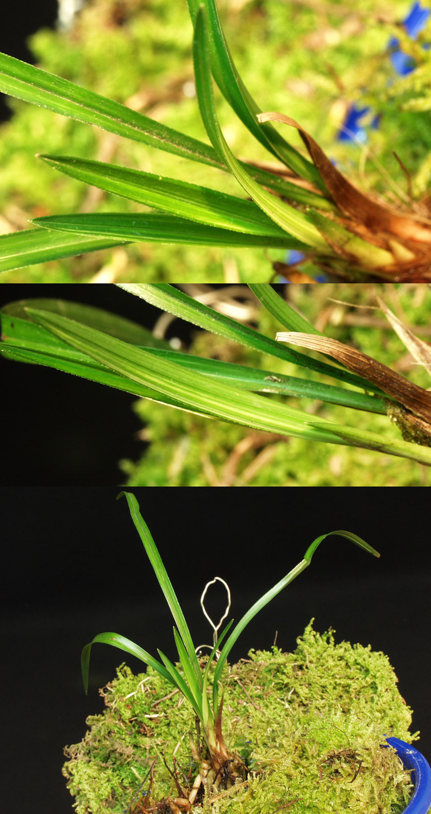 ������ ū������ �� �� �ֽ��ϴ�.