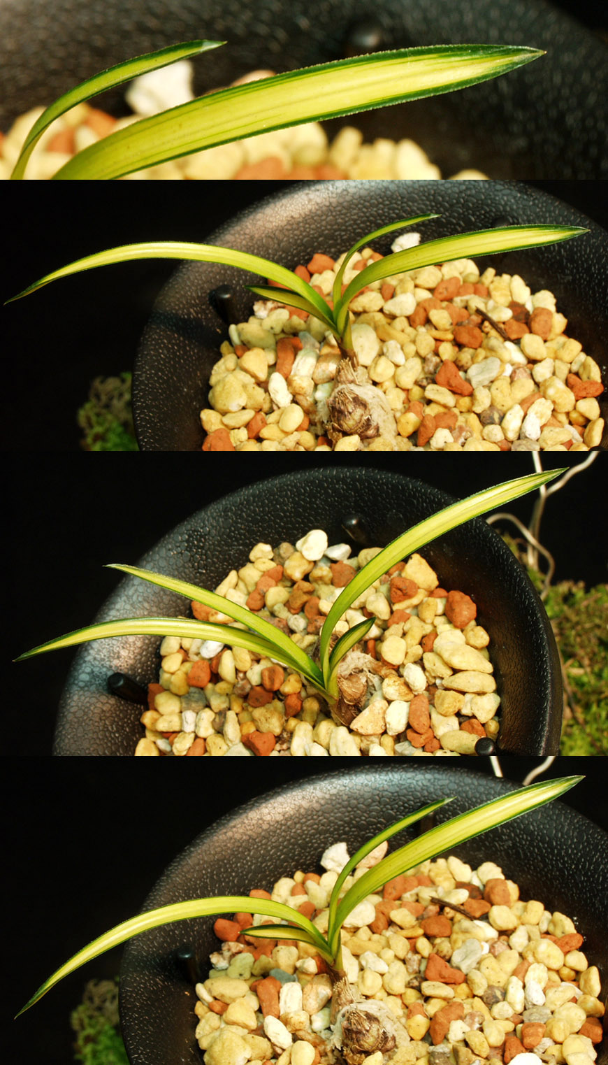 ������ ū������ �� �� �ֽ��ϴ�.