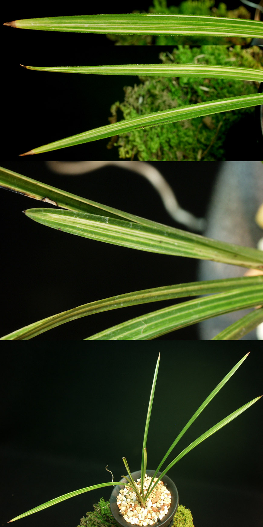 ������ ū������ �� �� �ֽ��ϴ�.