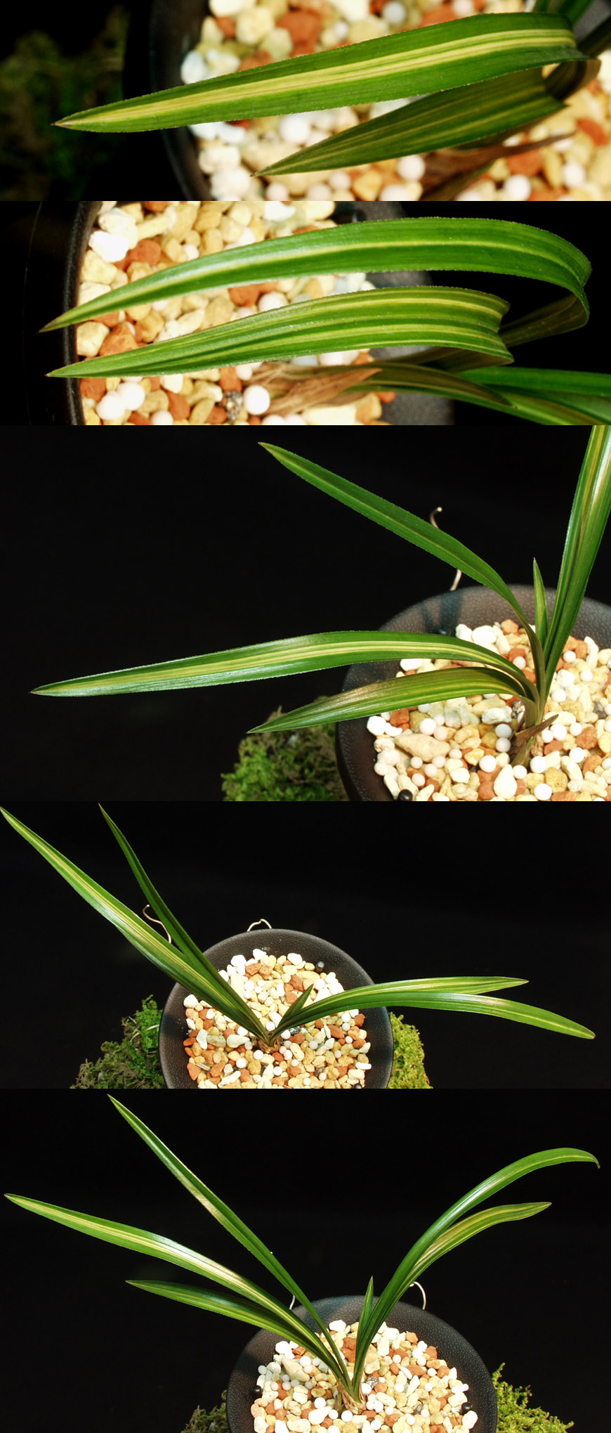 ������ ū������ �� �� �ֽ��ϴ�.