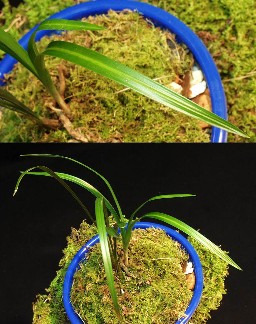 ������ ū������ �� �� �ֽ��ϴ�.