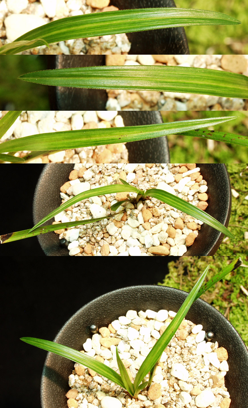 ������ ū������ �� �� �ֽ��ϴ�.