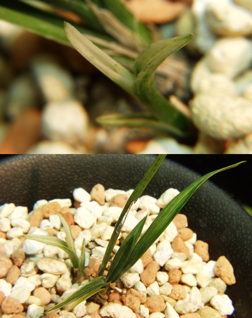 ������ ū������ �� �� �ֽ��ϴ�.