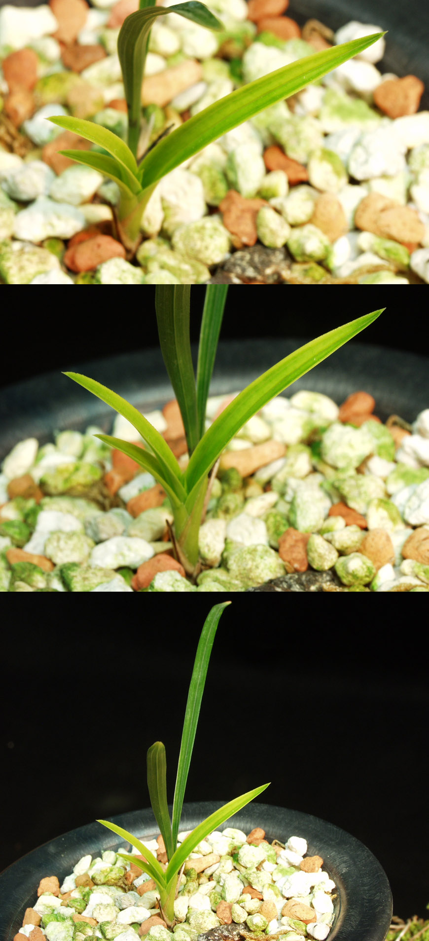 ������ ū������ �� �� �ֽ��ϴ�.