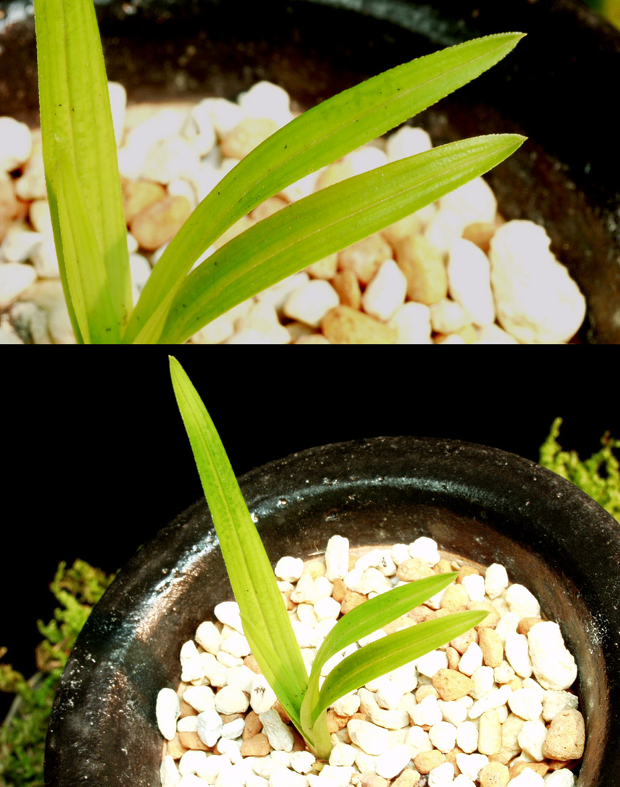 ������ ū������ �� �� �ֽ��ϴ�.