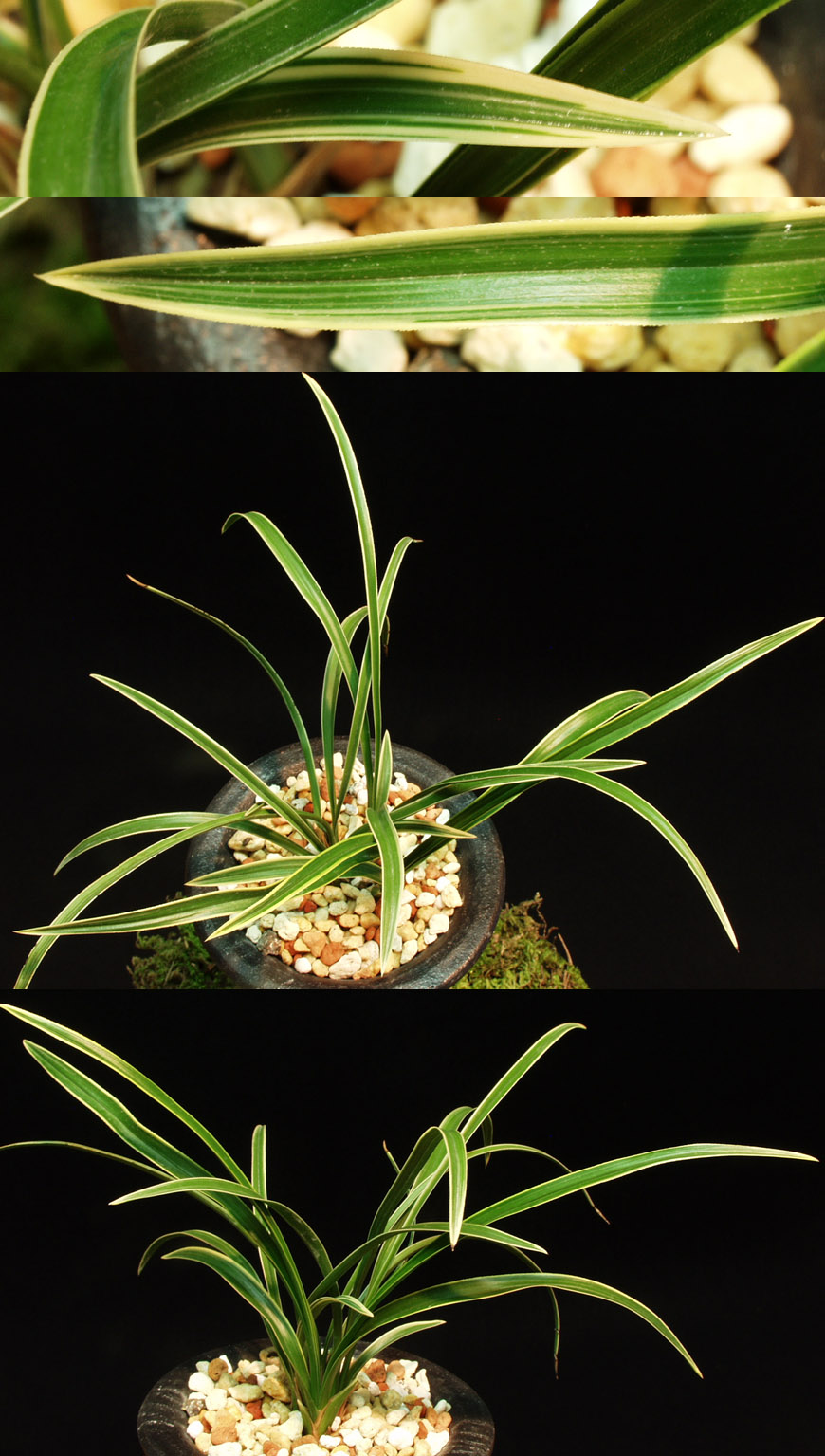 ������ ū������ �� �� �ֽ��ϴ�.