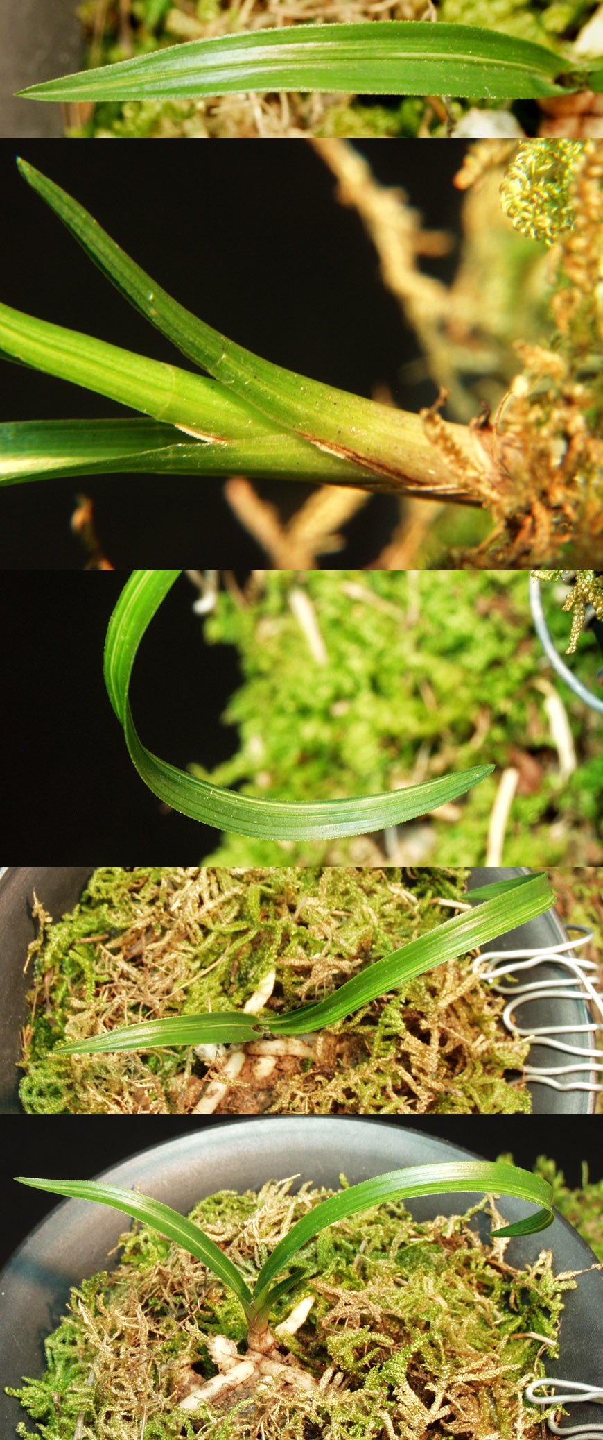 ������ ū������ �� �� �ֽ��ϴ�.