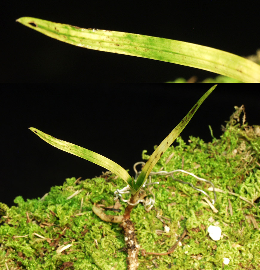 ������ ū������ �� �� �ֽ��ϴ�.