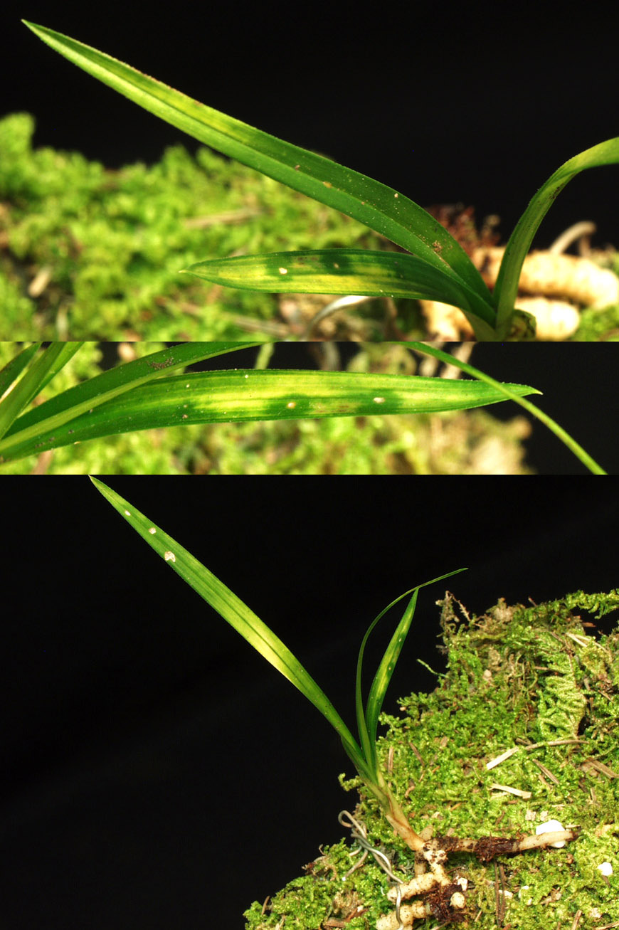 ������ ū������ �� �� �ֽ��ϴ�.