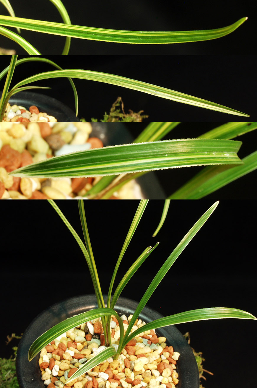 ������ ū������ �� �� �ֽ��ϴ�.