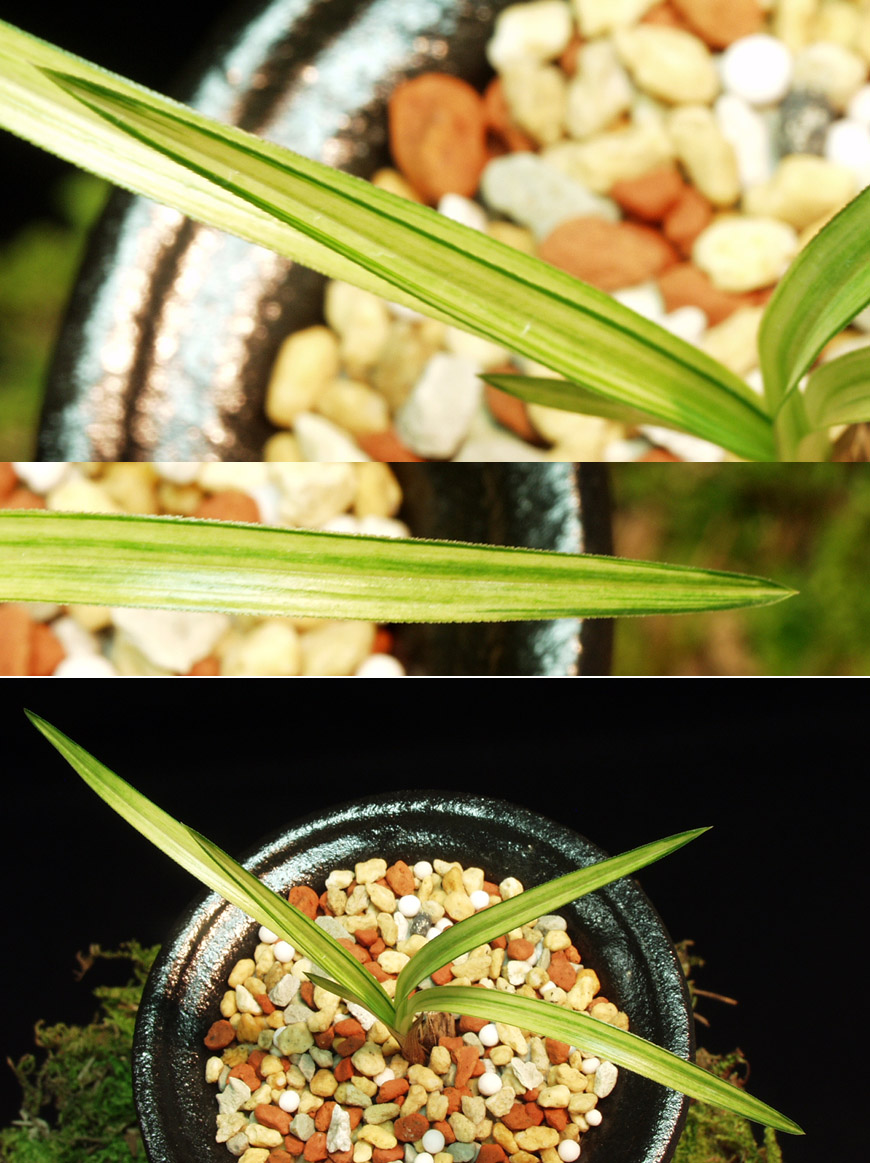 ������ ū������ �� �� �ֽ��ϴ�.