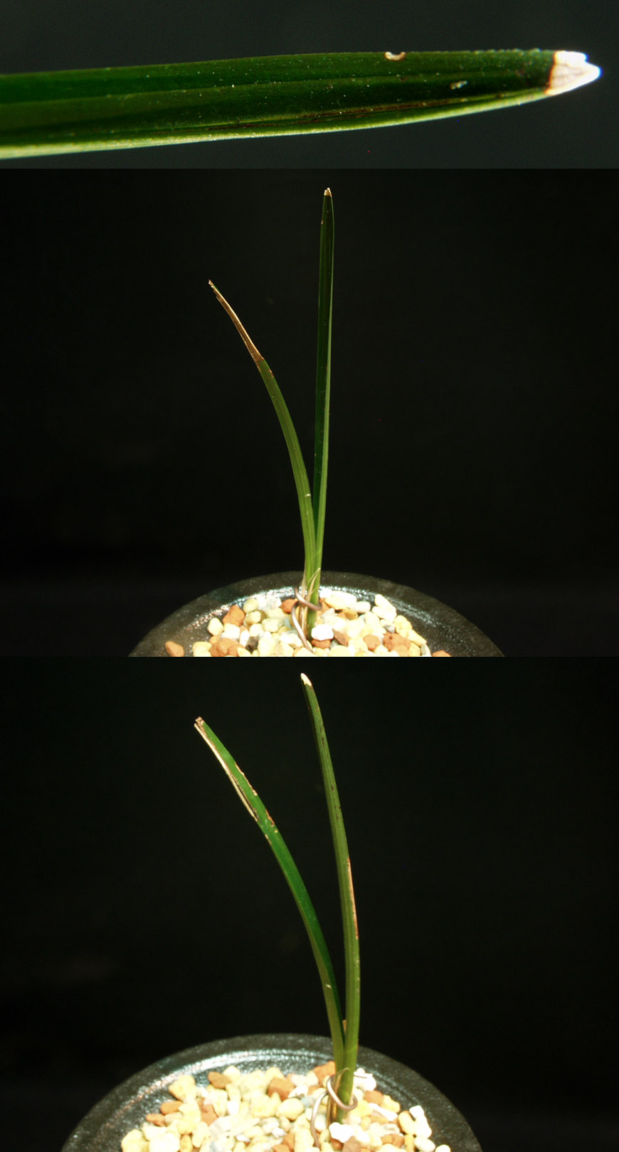 ������ ū������ �� �� �ֽ��ϴ�.