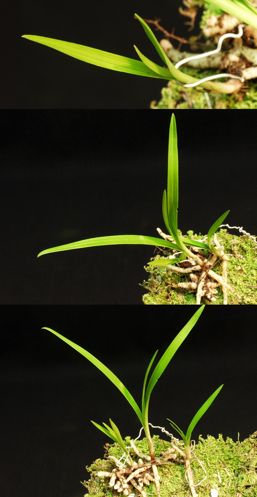 ������ ū������ �� �� �ֽ��ϴ�.