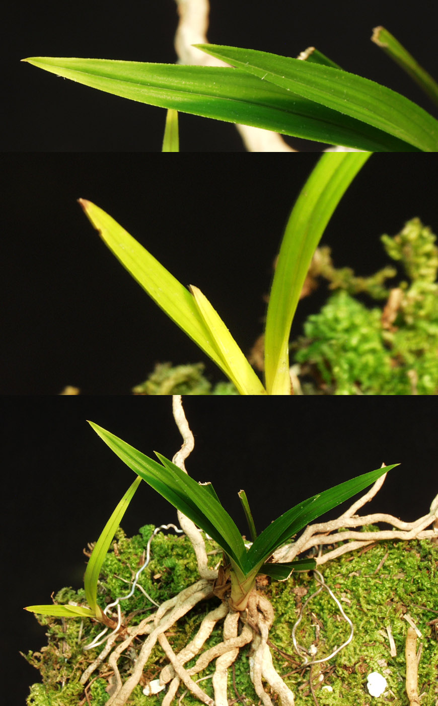 ������ ū������ �� �� �ֽ��ϴ�.