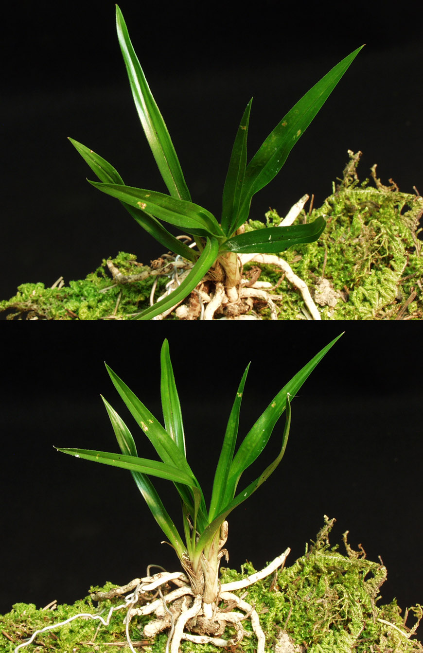 ������ ū������ �� �� �ֽ��ϴ�.