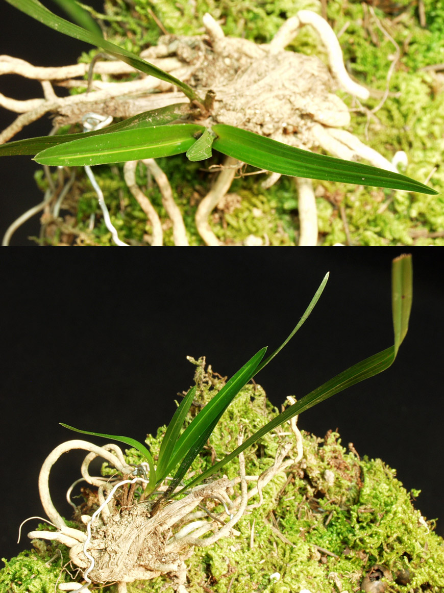 ������ ū������ �� �� �ֽ��ϴ�.