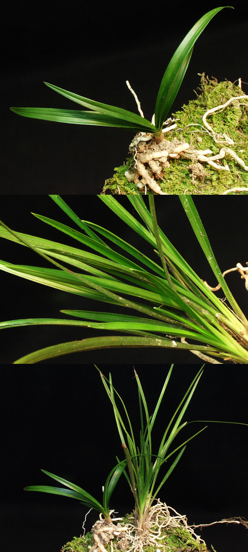 ������ ū������ �� �� �ֽ��ϴ�.