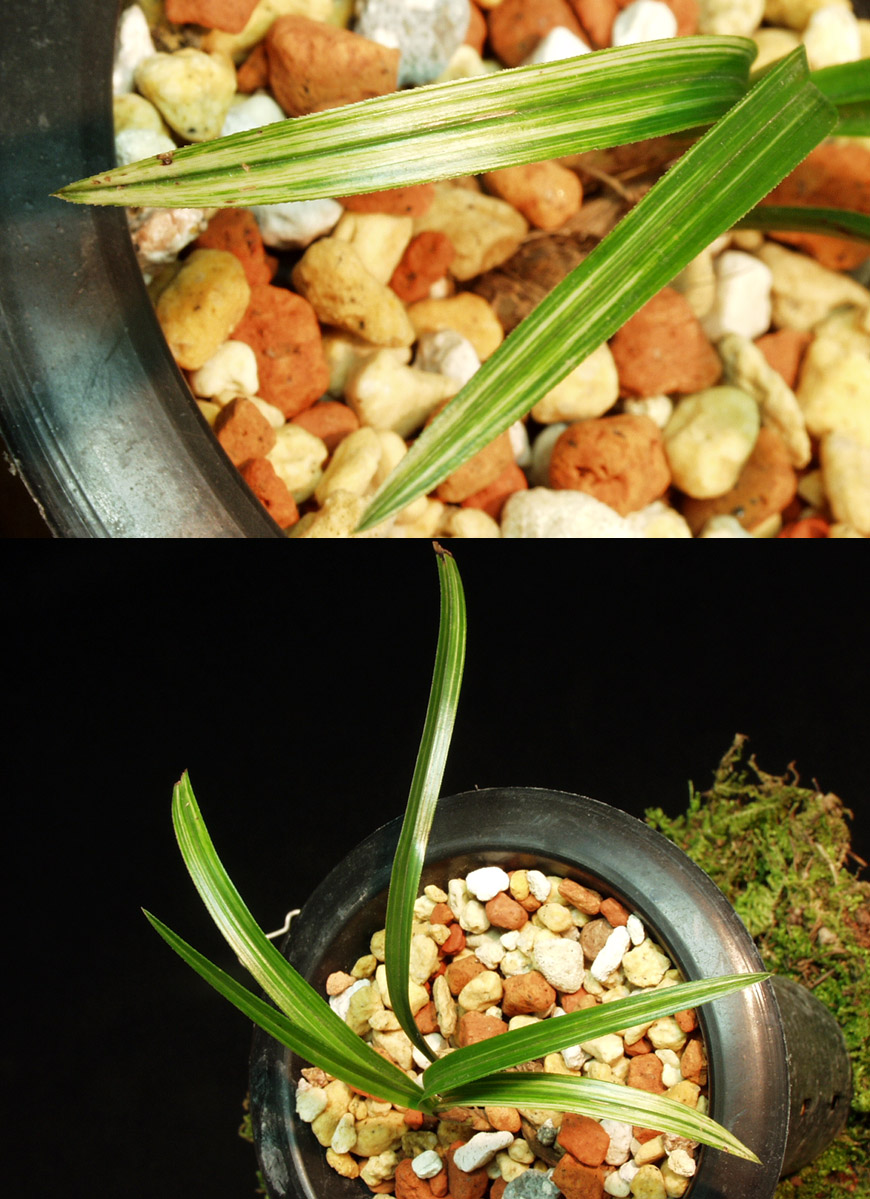 ������ ū������ �� �� �ֽ��ϴ�.