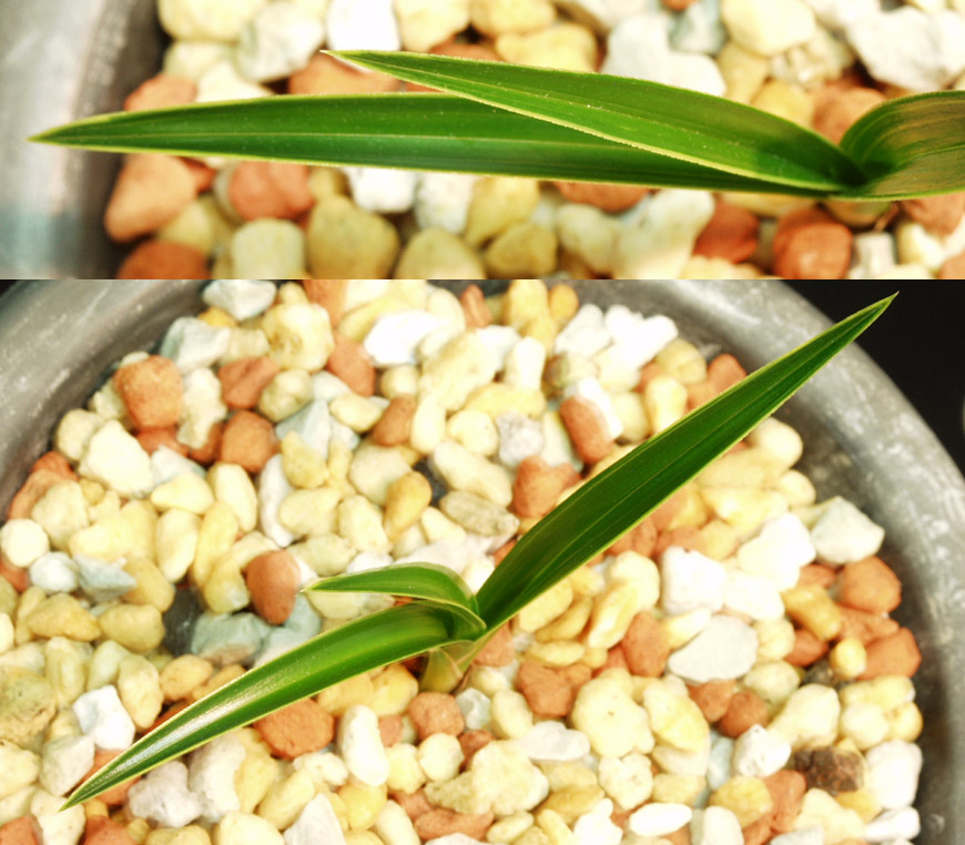 ������ ū������ �� �� �ֽ��ϴ�.