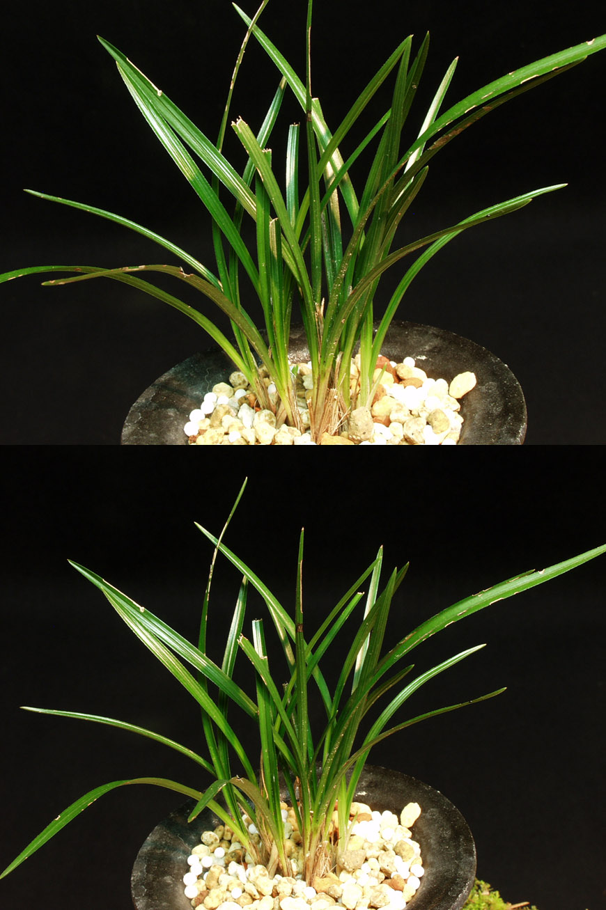 ������ ū������ �� �� �ֽ��ϴ�.