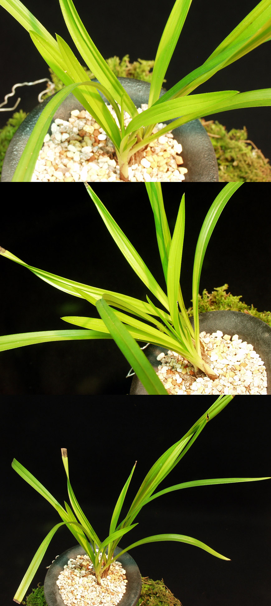 ������ ū������ �� �� �ֽ��ϴ�.