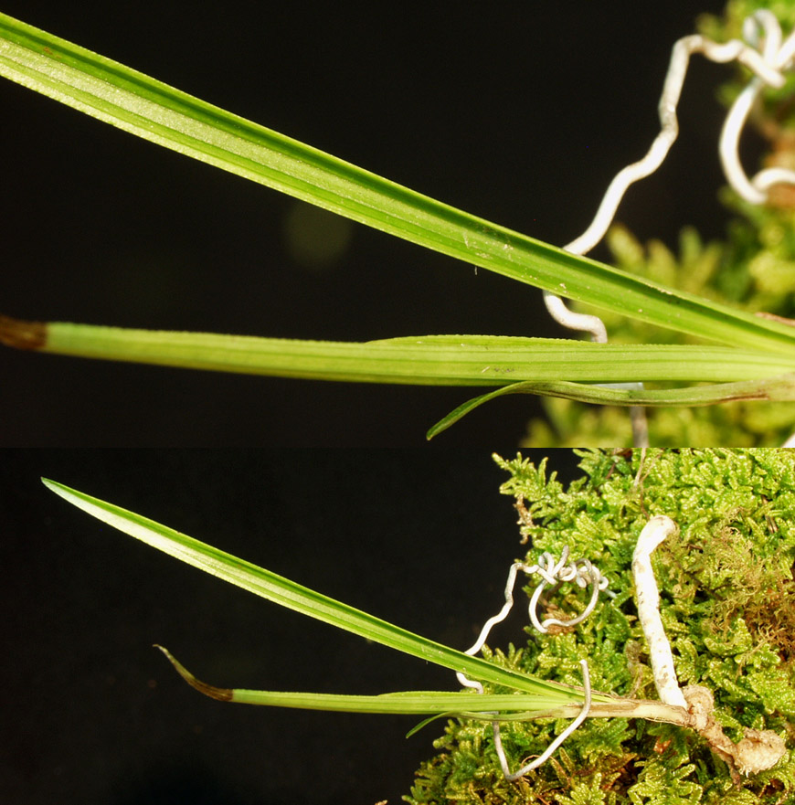 ������ ū������ �� �� �ֽ��ϴ�.