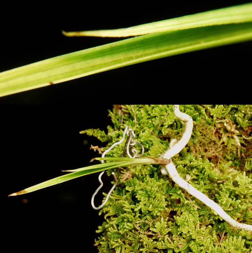 ������ ū������ �� �� �ֽ��ϴ�.