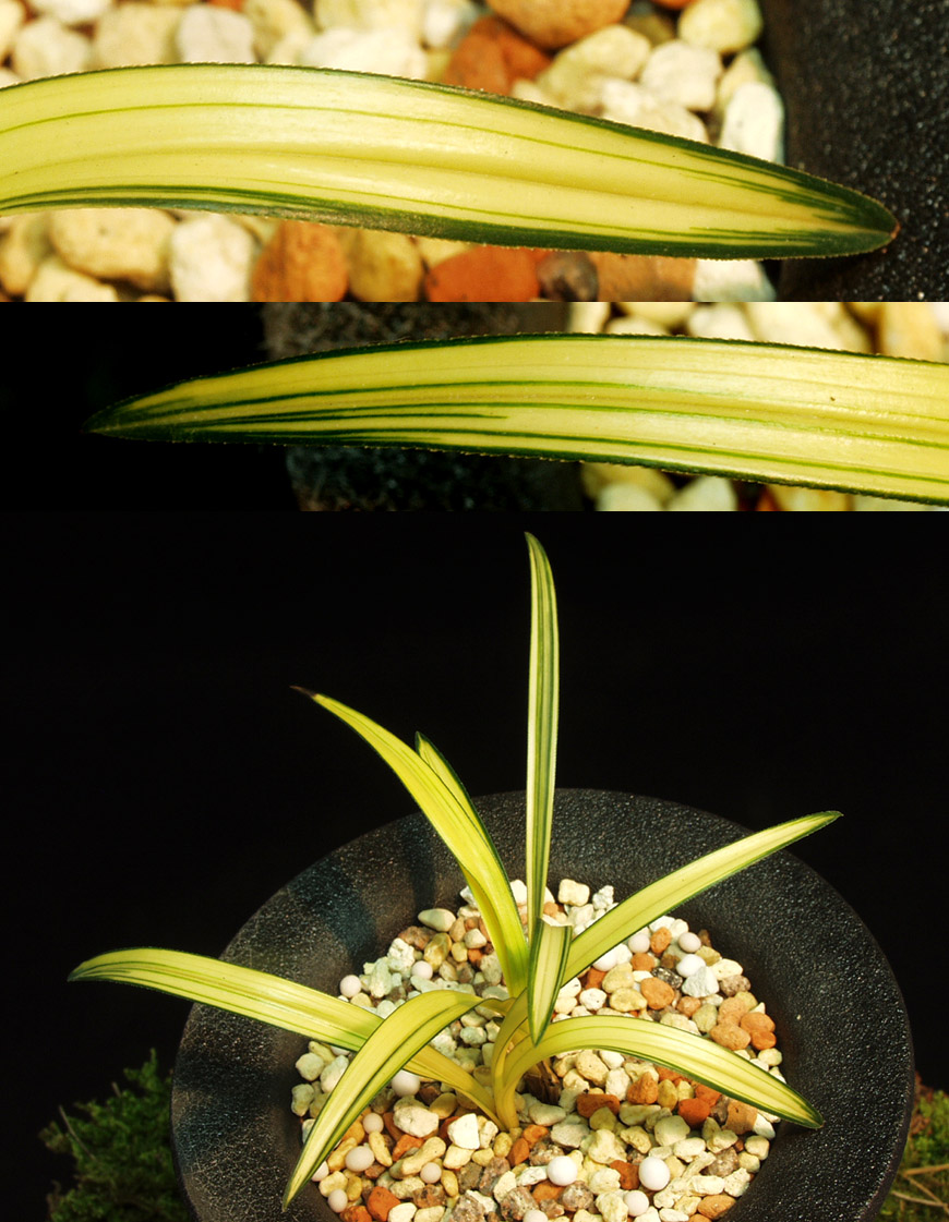 ������ ū������ �� �� �ֽ��ϴ�.